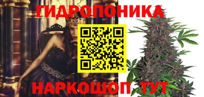 кокс Моздок