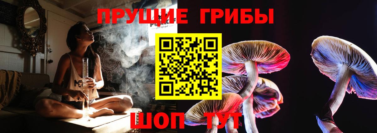 Галлюциногенные грибы Psilocybine cubensis Гурьевск